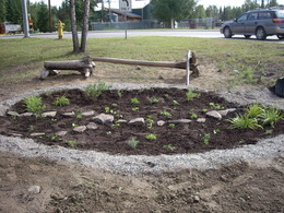 Farmers Market Rain Garden