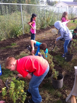 Woodriver Elementary Trail Planting Sept 2013