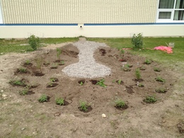 Woodriver School Rain Garden